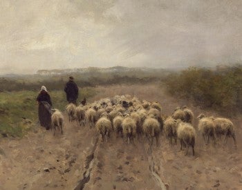 Pasture