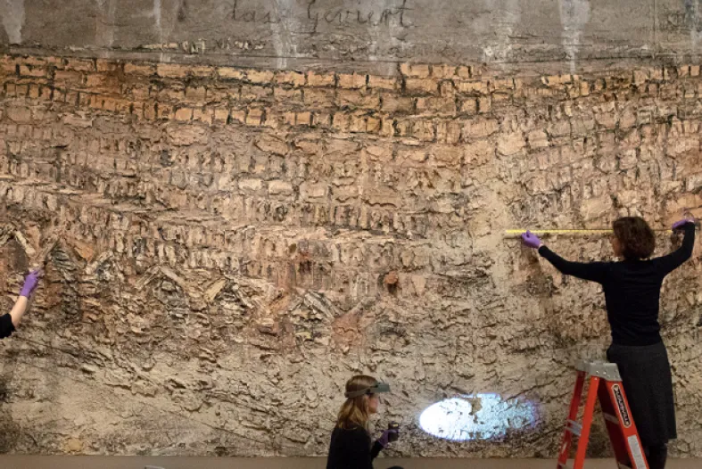 Conservation work happening