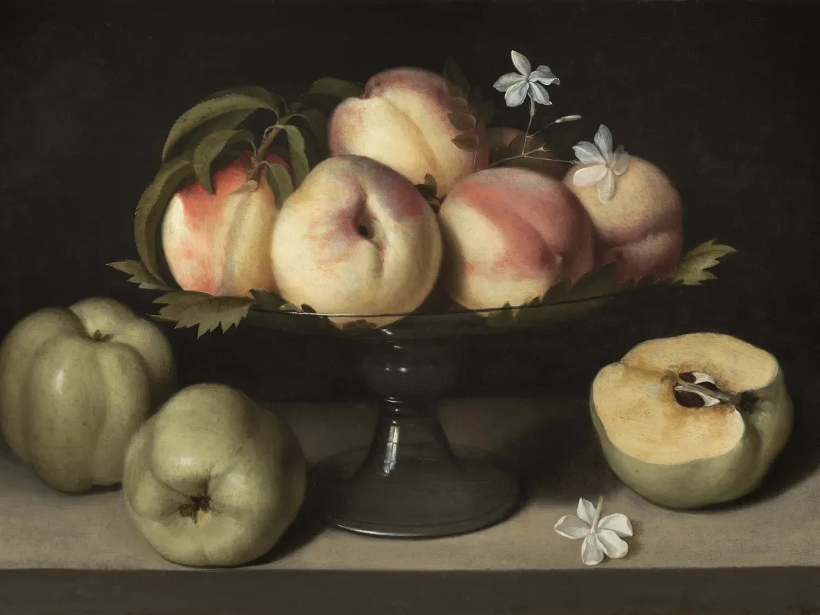 Fede Galizia, :Glass Tazza with Peaches, Jasmine Flowers and Apples," 1607, oil on panel. Montreal Museum of Fine Arts, Gift of Mr. and Mrs. Michal Hornstein, 2015.19