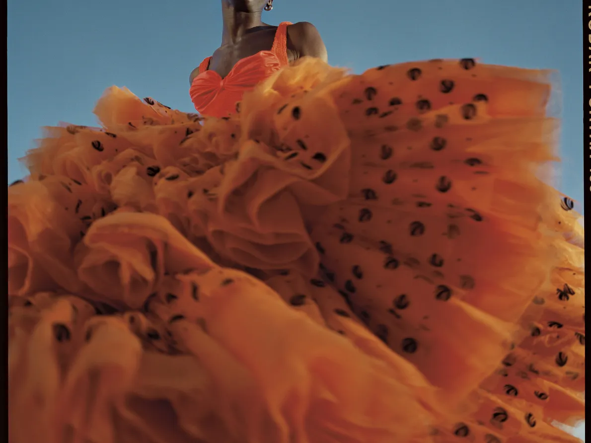 Nadine Ijewere, Joy as an Act of Resistance, 2018