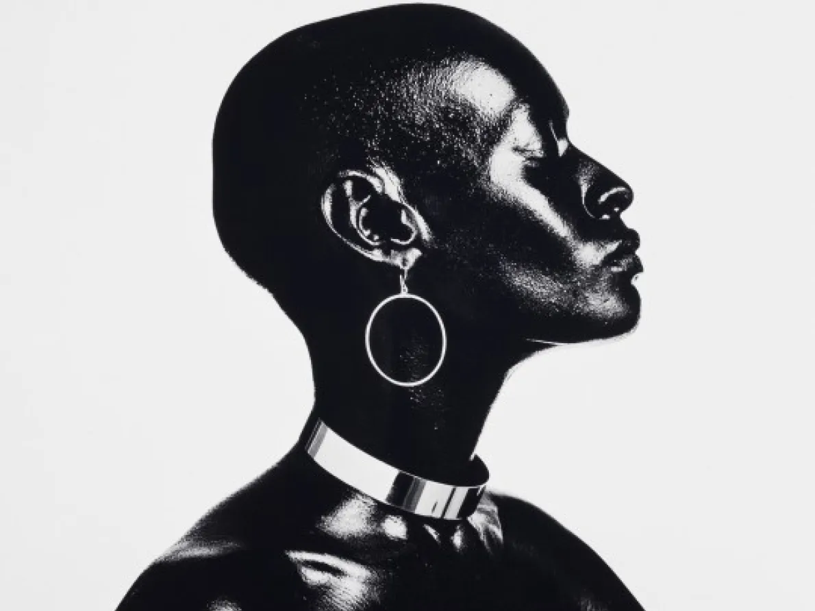 “Model Pat Evans,” 1971, Anthony Barboza, pigment print. Detroit Institute of Arts